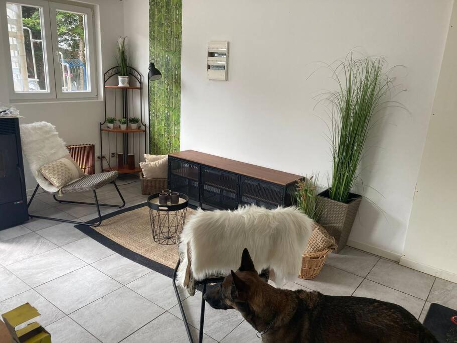 Perle De Coton Pour Duo De Charme Apartment Anhee Exterior photo